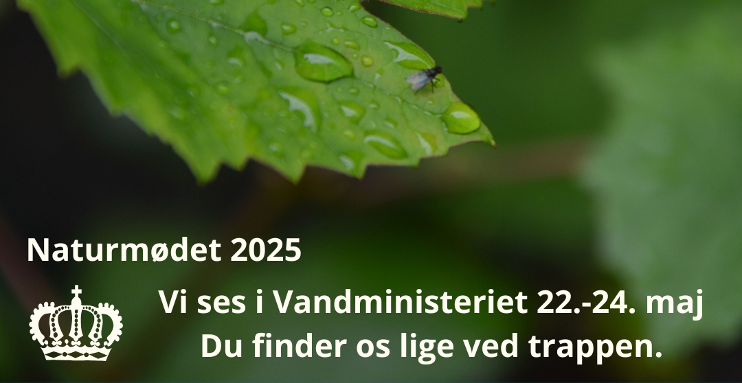 Vi ses_FB